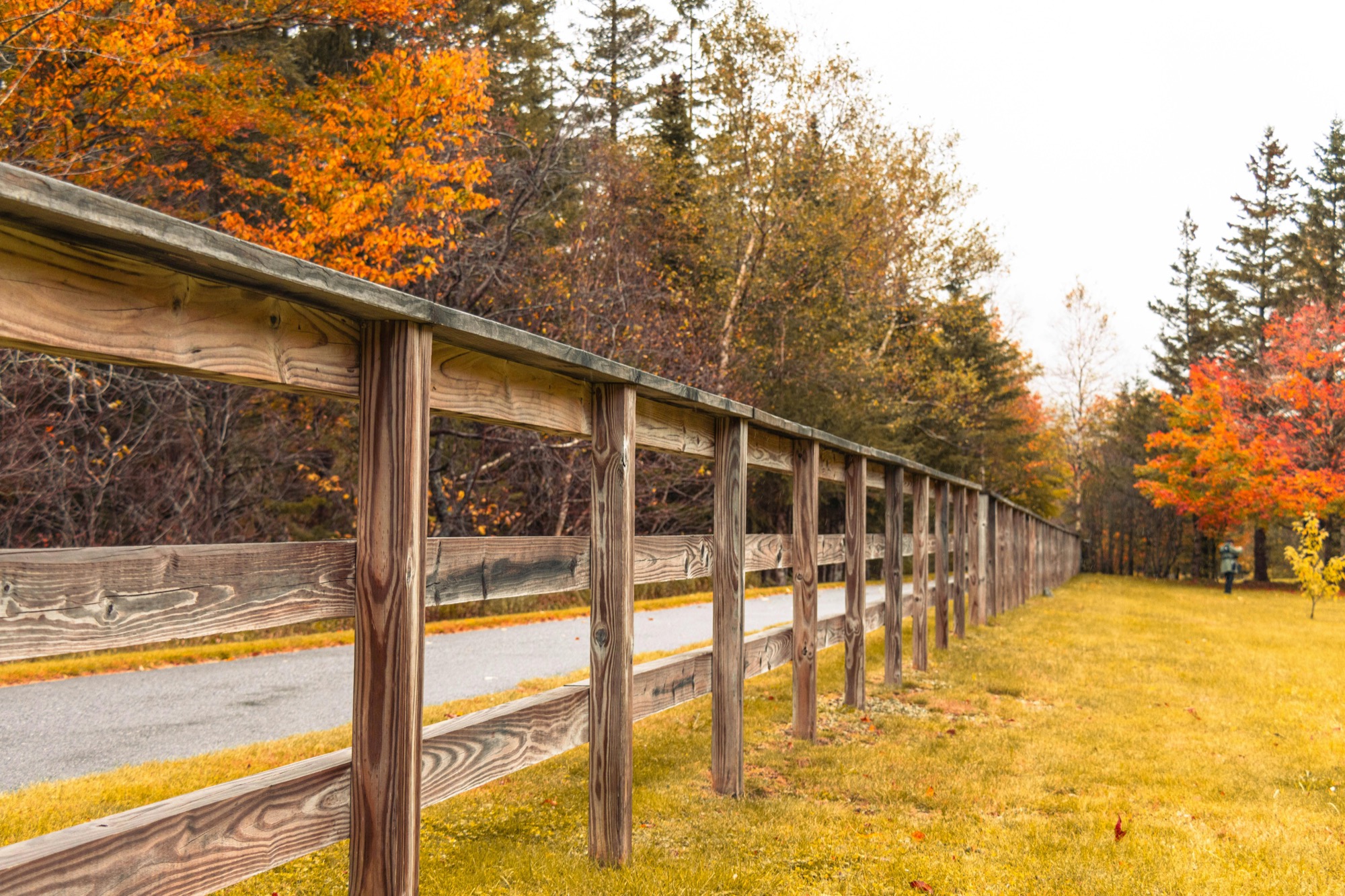 Wood fence with warm fall foliage in the background